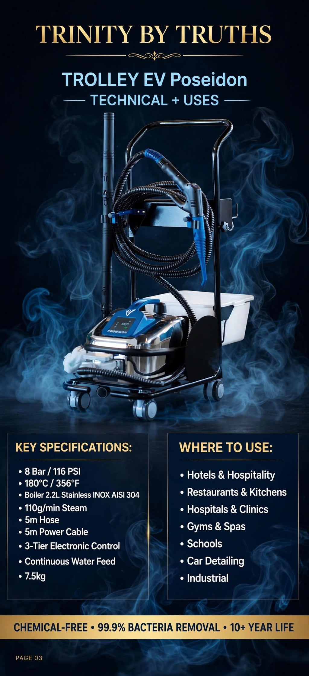 Commercial grade 180C BlueSteam. 99.9% bacteria removal, zero chemicals, trolley included. Financing available. Ships worldwide, LA to Tokyo - TRINITY BY TRUTHS