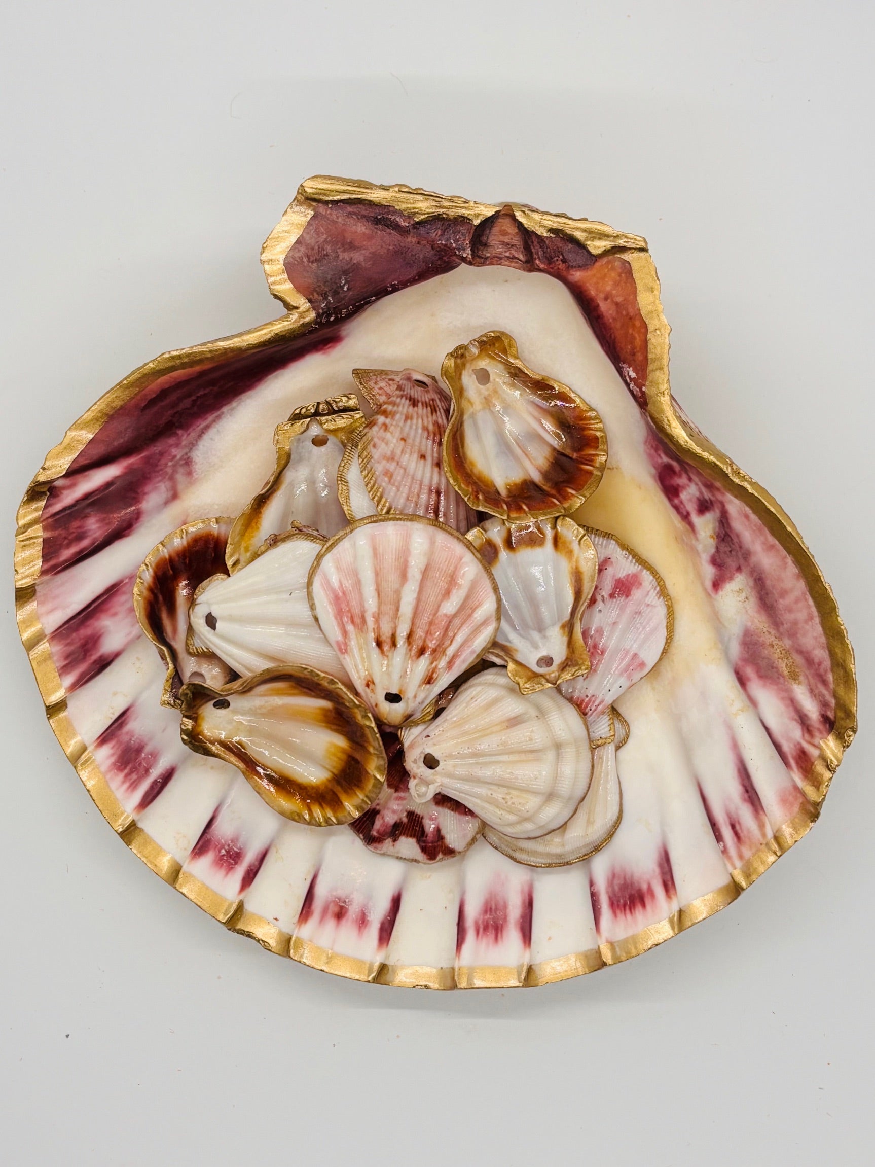 Lion's Paw Trinket Dish